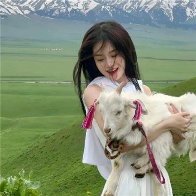 秘密森林